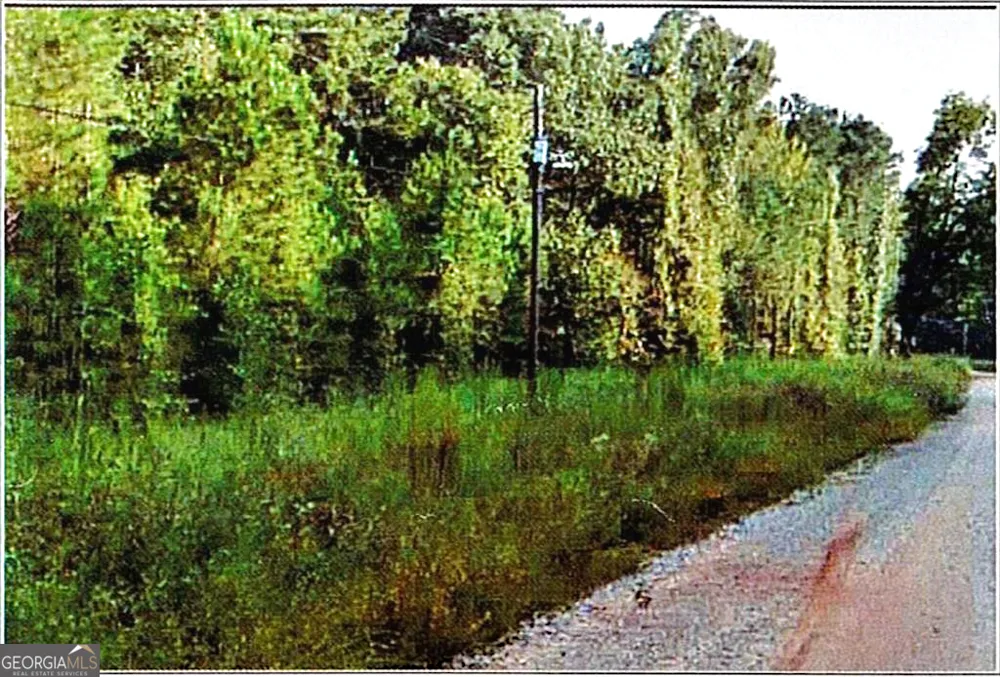 0 Felton Mcmichael Rd & Hayes - Landlot 090 RD Monticello, GA 31064