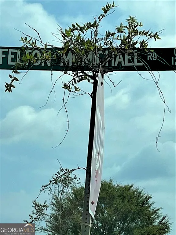 0 Felton Mcmichael Rd & Hayes - Landlot 090 RD Monticello, GA 31064