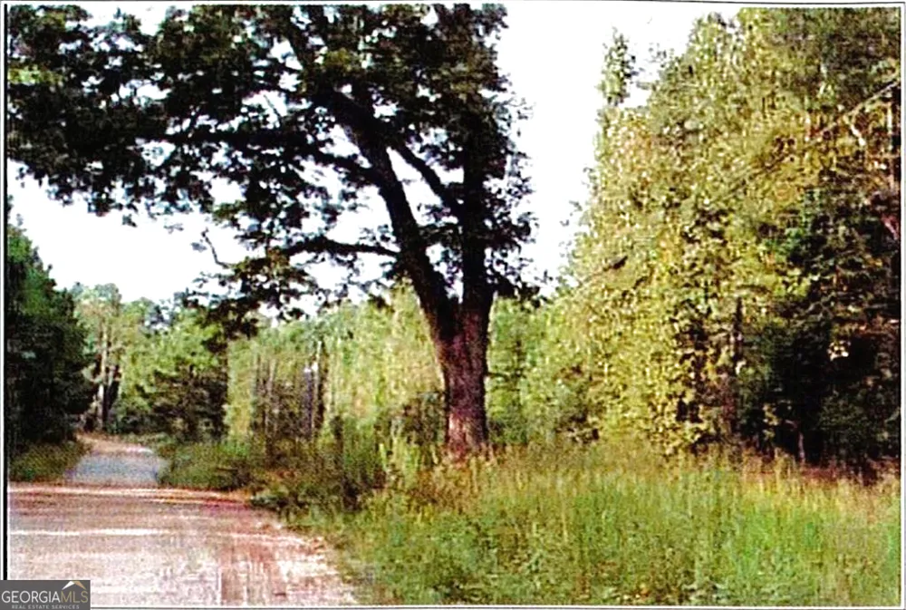 0 Felton Mcmichael Rd & Hayes - Landlot 090 RD Monticello, GA 31064