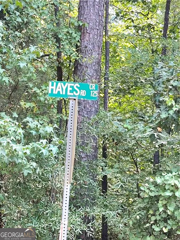 0 Felton Mcmichael Rd & Hayes - Landlot 090 RD Monticello, GA 31064