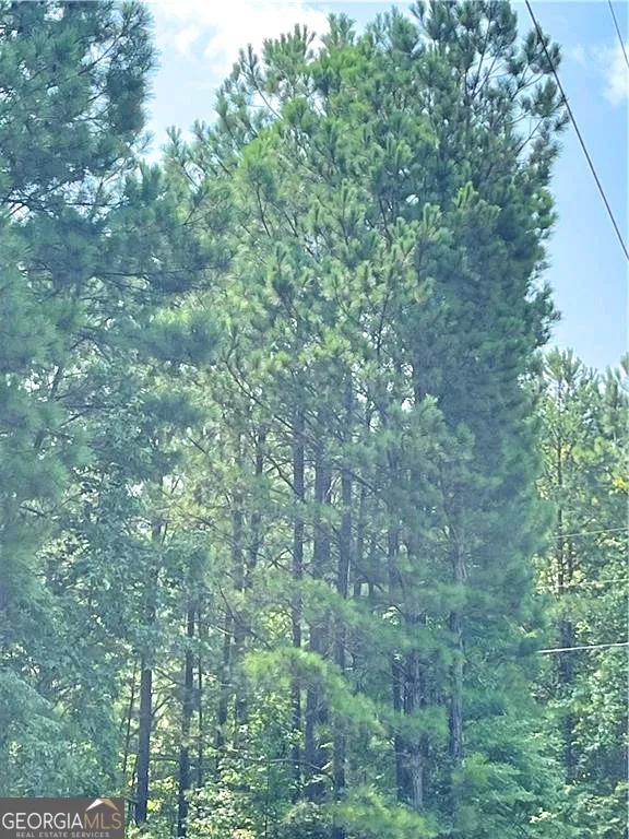 0 Felton Mcmichael Rd & Hayes - Landlot 090 RD Monticello, GA 31064