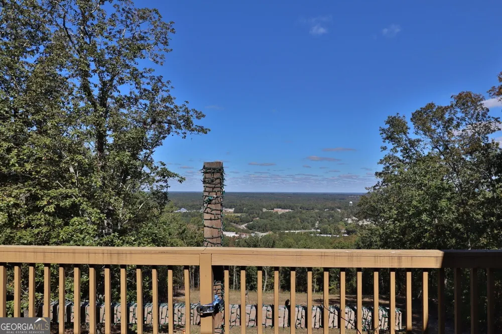 551 Mountain Ridge DR Manchester, GA 31816