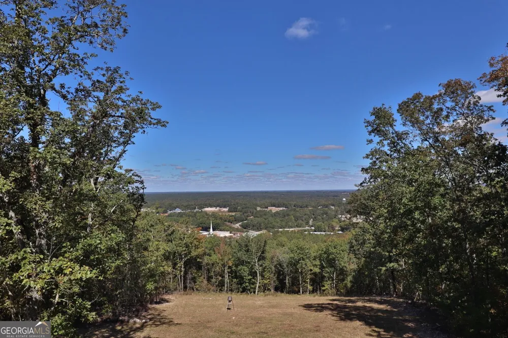 551 Mountain Ridge DR Manchester, GA 31816