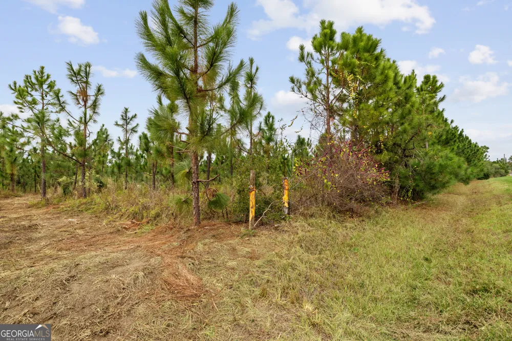 0 Highway 297 Soperton, GA 30457
