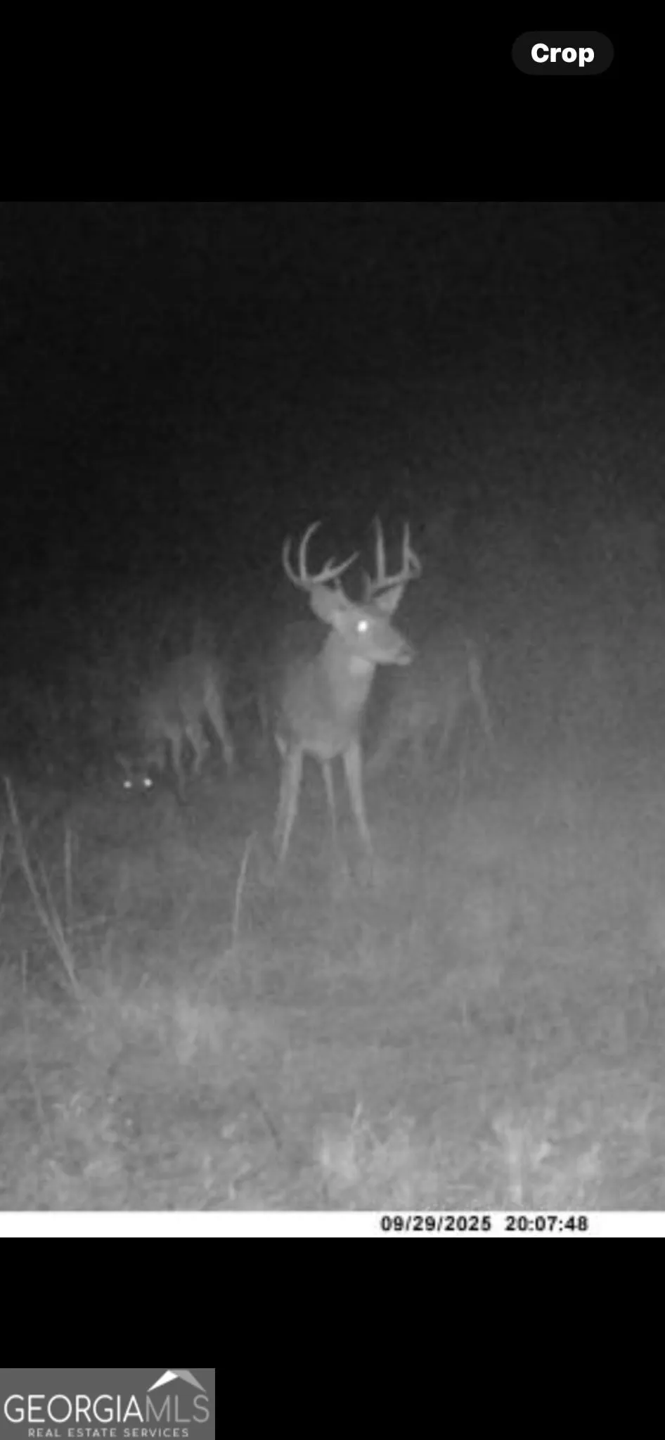 0 Highway 297 Soperton, GA 30457