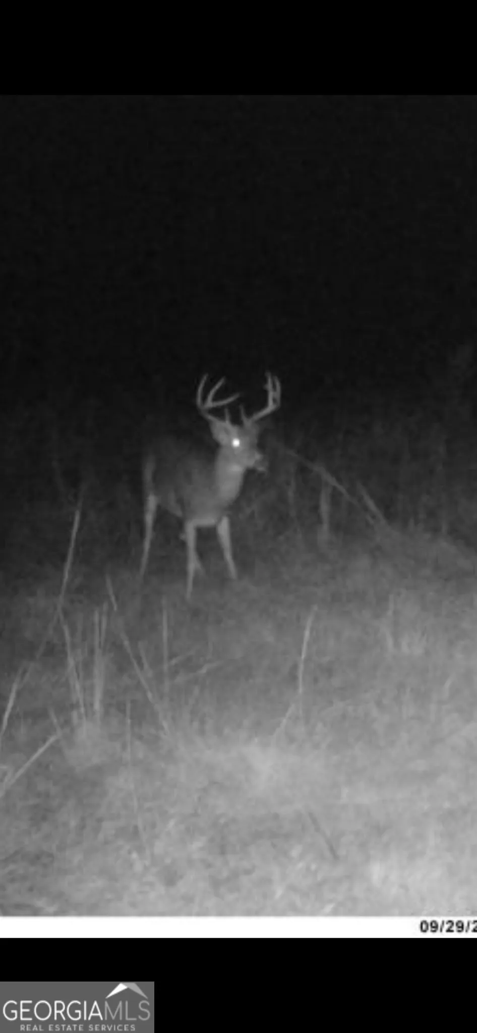 0 Highway 297 Soperton, GA 30457