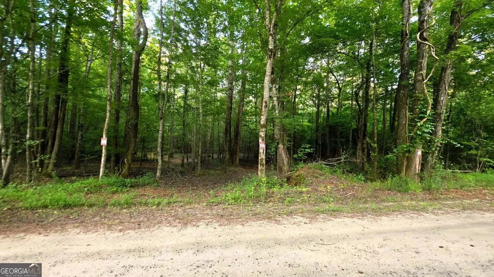 LOT 17 Gordon RD Forsyth, GA 31029