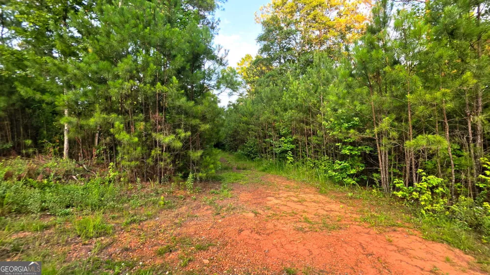 LOT 17 Gordon RD Forsyth, GA 31029