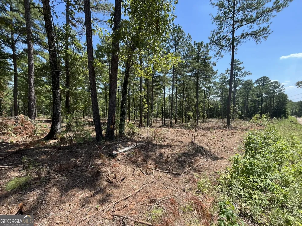 LOT 17 Gordon RD Forsyth, GA 31029