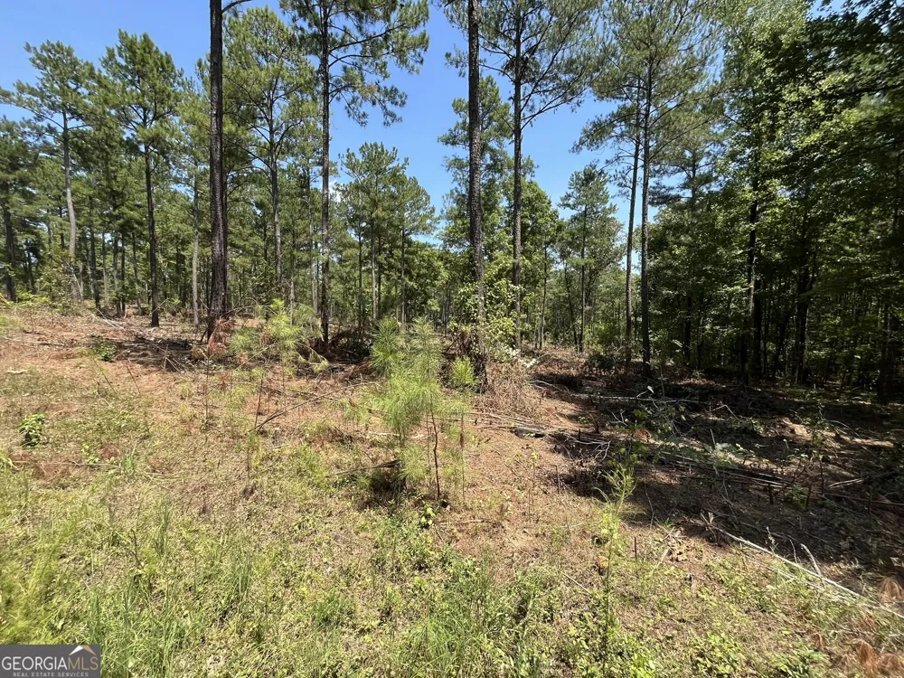 LOT 17 Gordon RD Forsyth, GA 31029