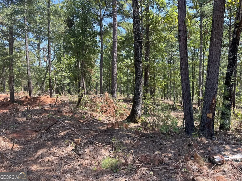 LOT 17 Gordon RD Forsyth, GA 31029