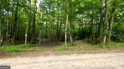 LOT 20 Gordon RD
