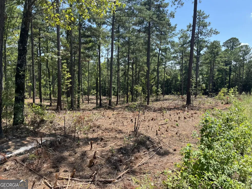 LOT 20 Gordon RD Forsyth, GA 31029