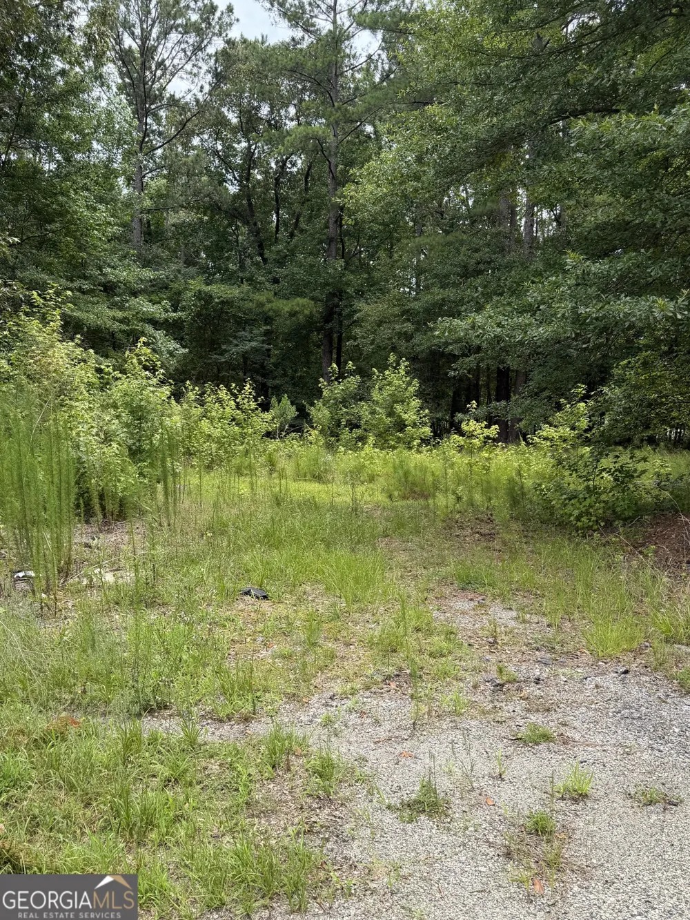1930 Locust Grove RD Griffin, GA 30223