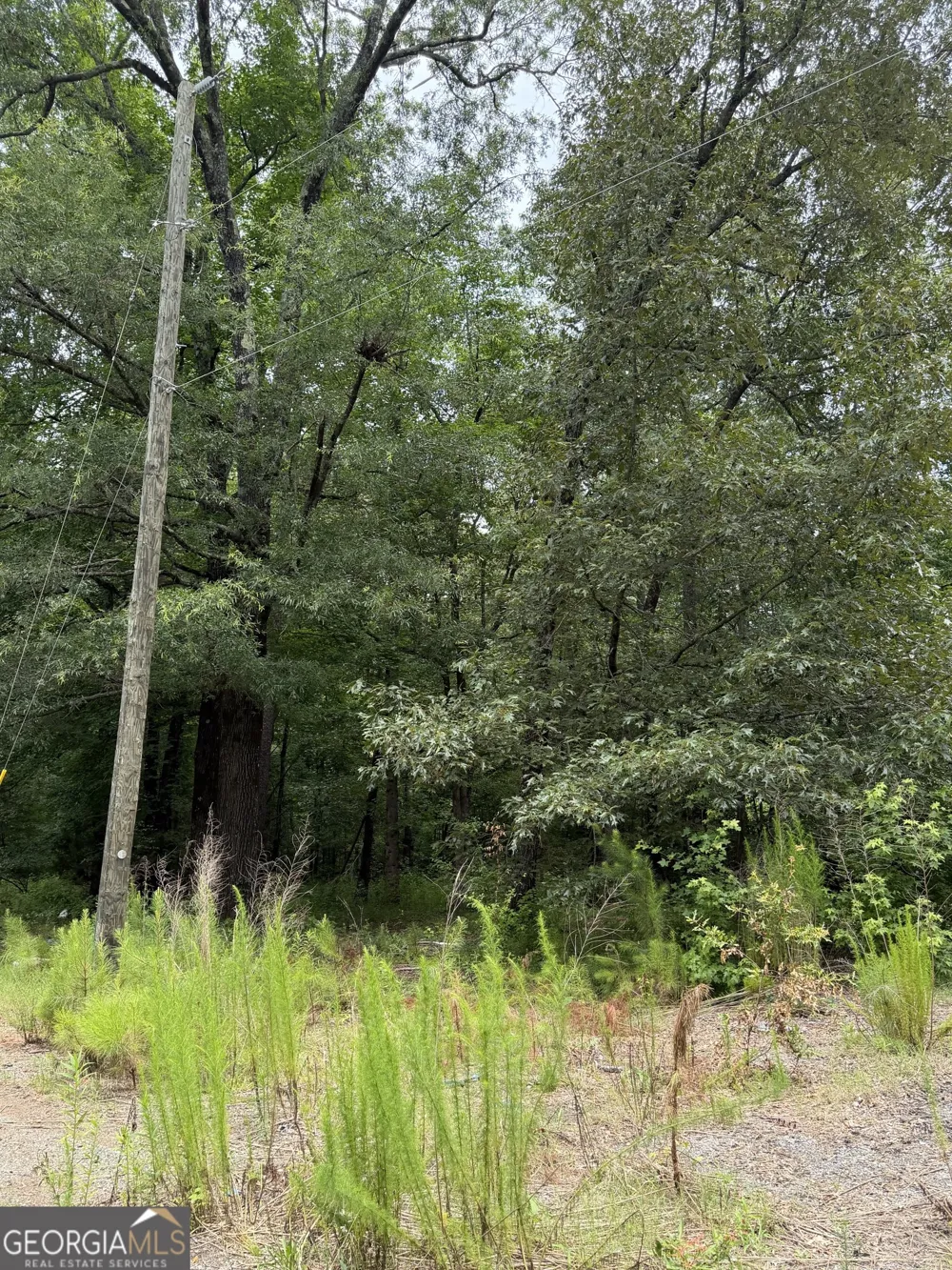 1930 Locust Grove RD Griffin, GA 30223