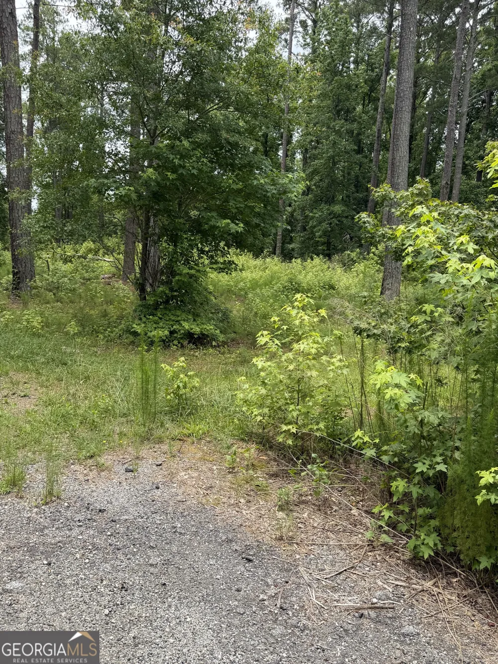 1930 Locust Grove RD Griffin, GA 30223