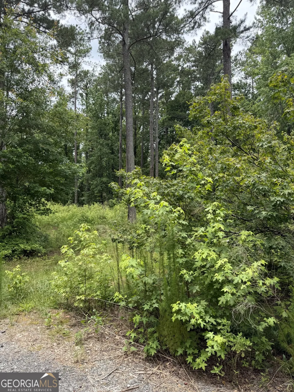1930 Locust Grove RD Griffin, GA 30223
