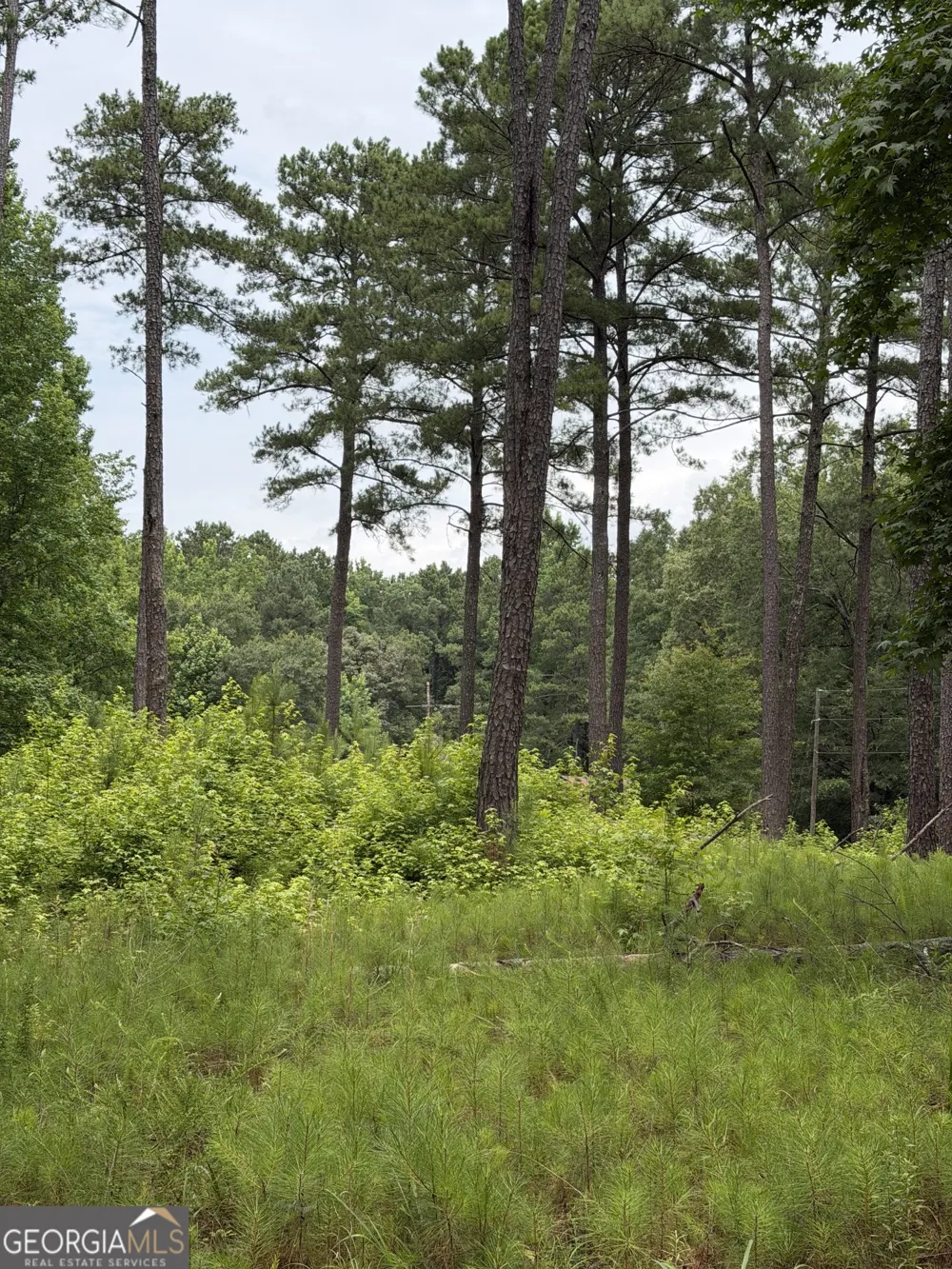 1930 Locust Grove RD Griffin, GA 30223