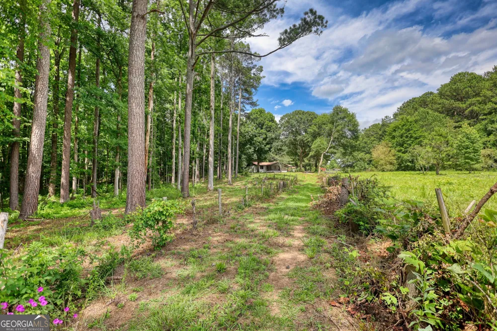 2217 Meadows RD Newborn, GA 30056