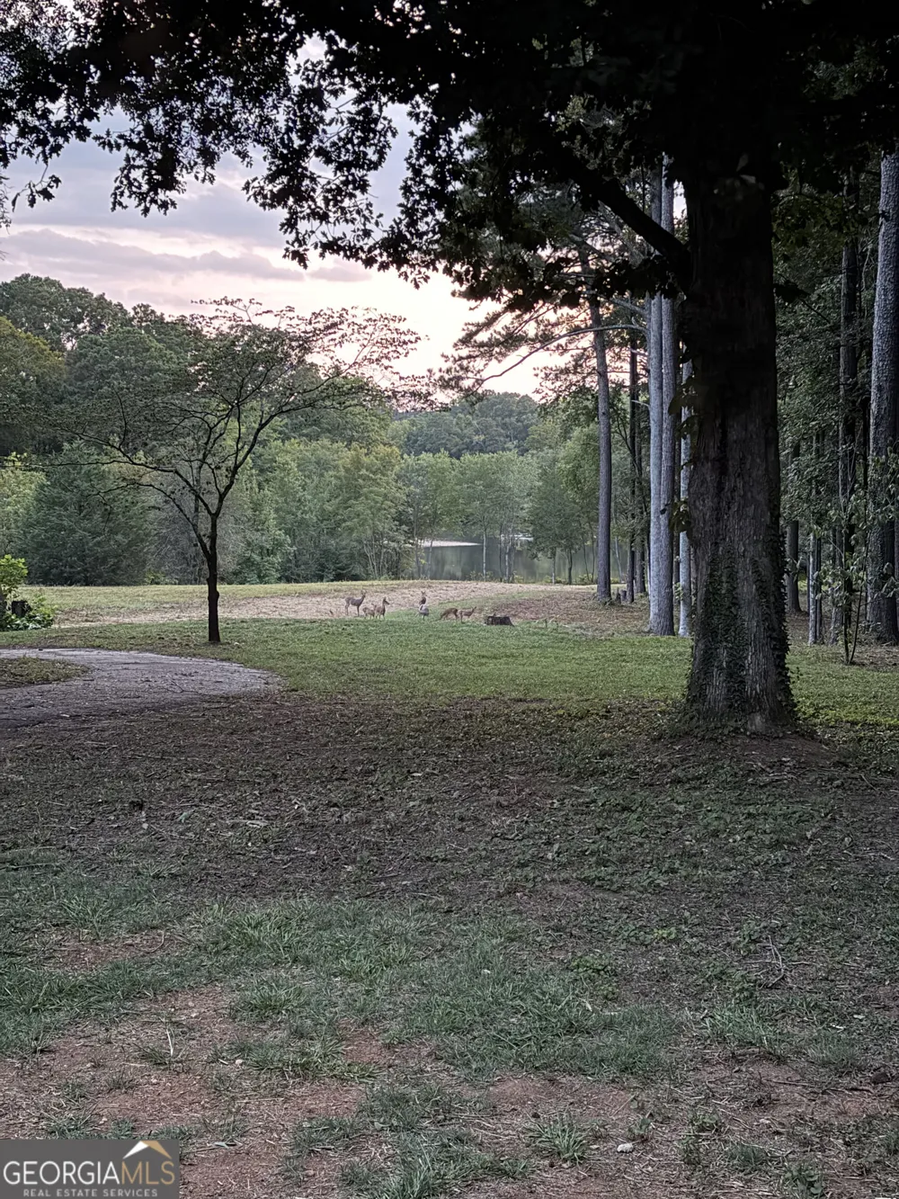 2217 Meadows RD Newborn, GA 30056
