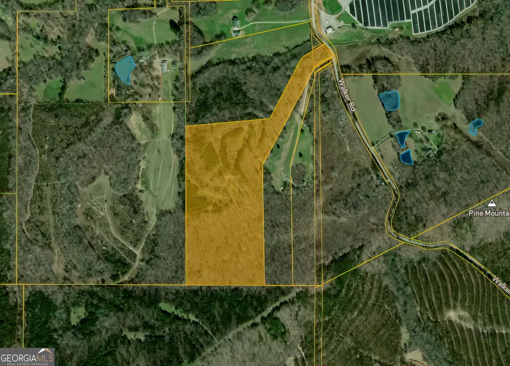 34.61 ACRES Walker RD Meansville, GA 30256