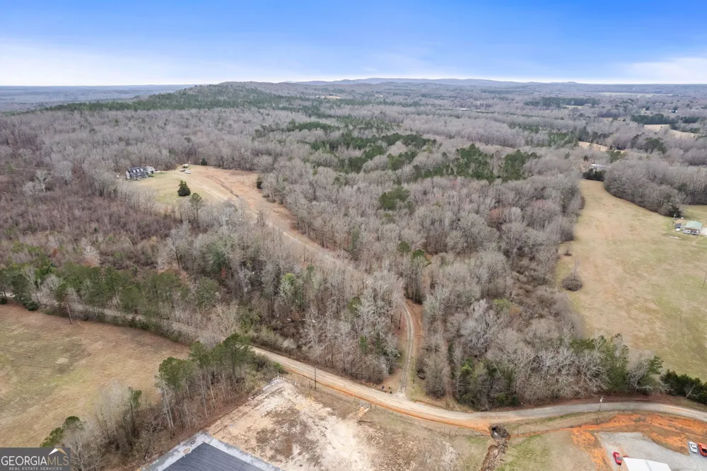 34.61 ACRES Walker RD Meansville, GA 30256