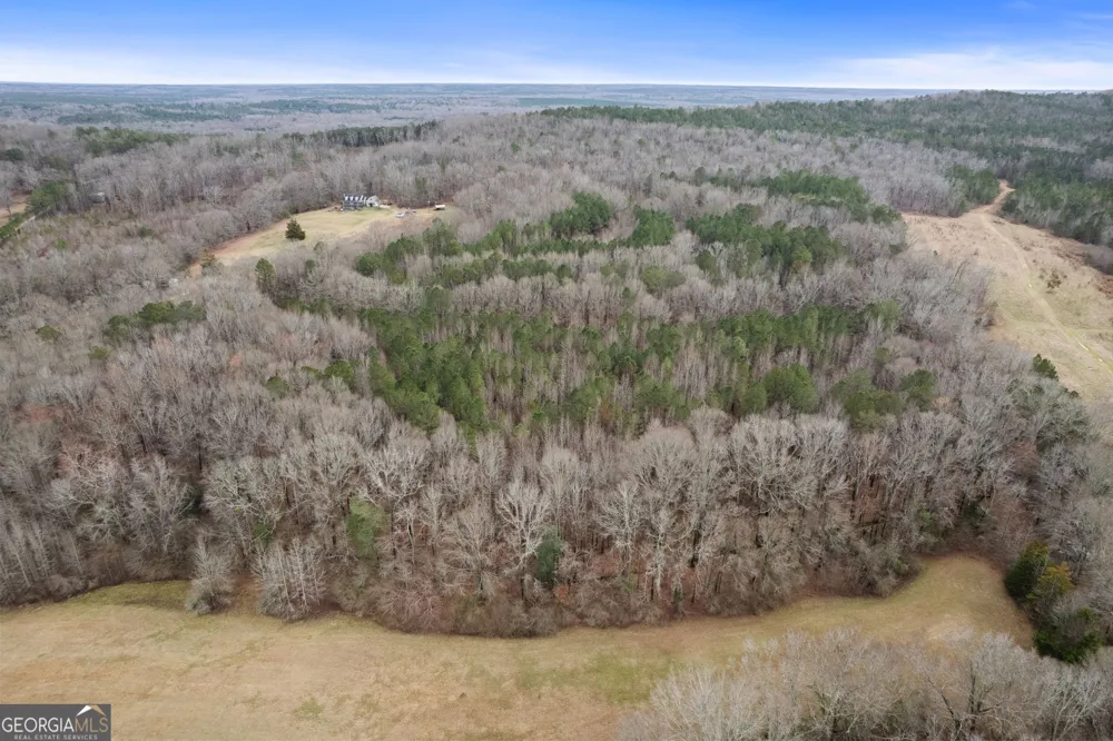 34.61 ACRES Walker RD Meansville, GA 30256