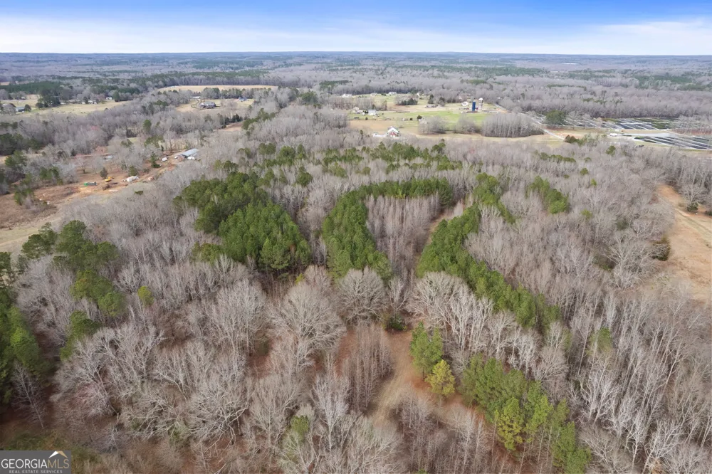34.61 ACRES Walker RD Meansville, GA 30256