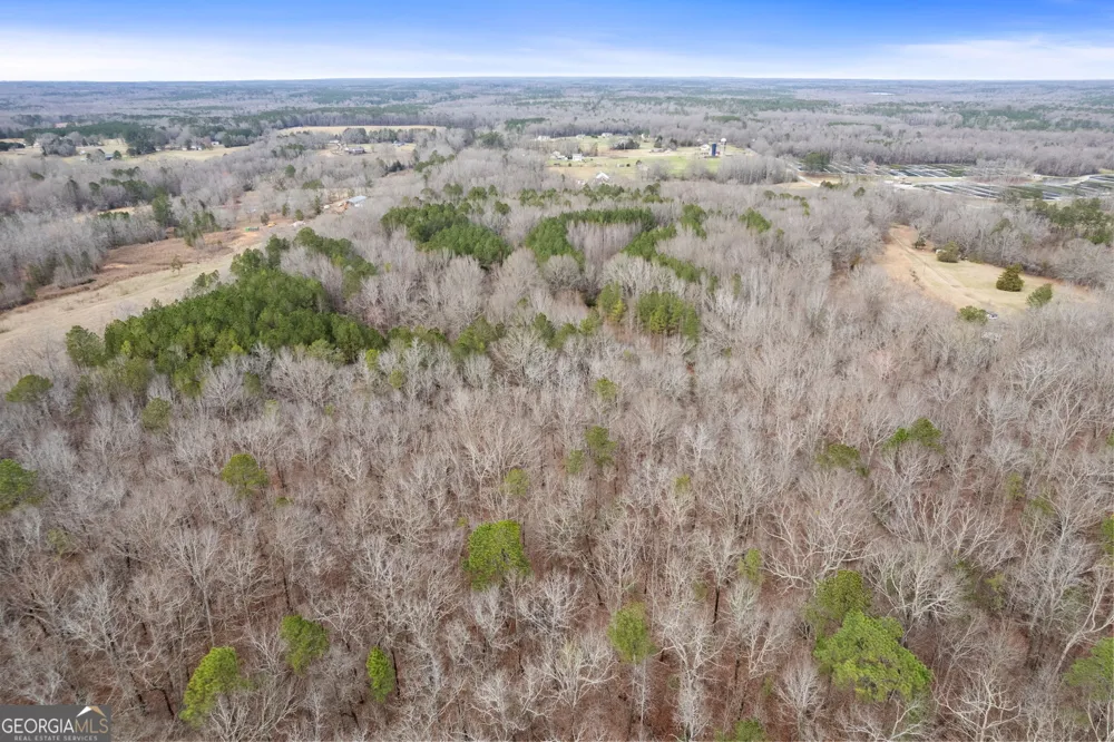 34.61 ACRES Walker RD Meansville, GA 30256