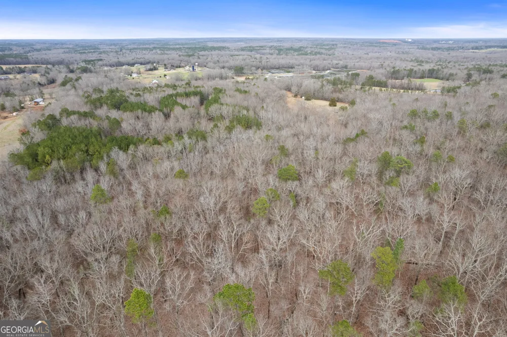 34.61 ACRES Walker RD Meansville, GA 30256