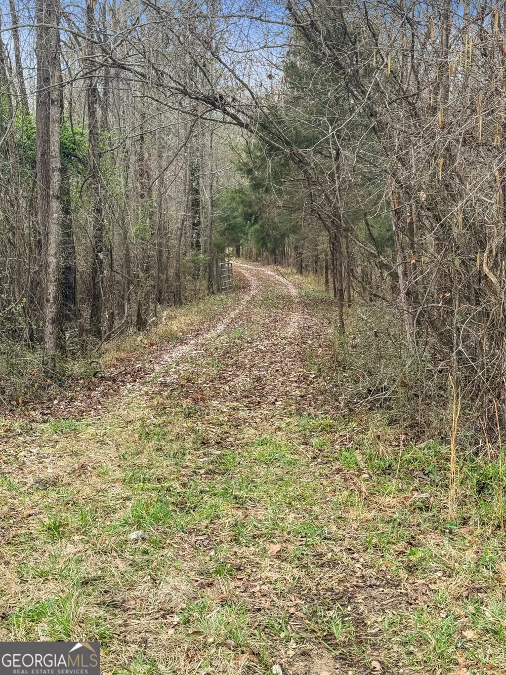 34.61 ACRES Walker RD Meansville, GA 30256
