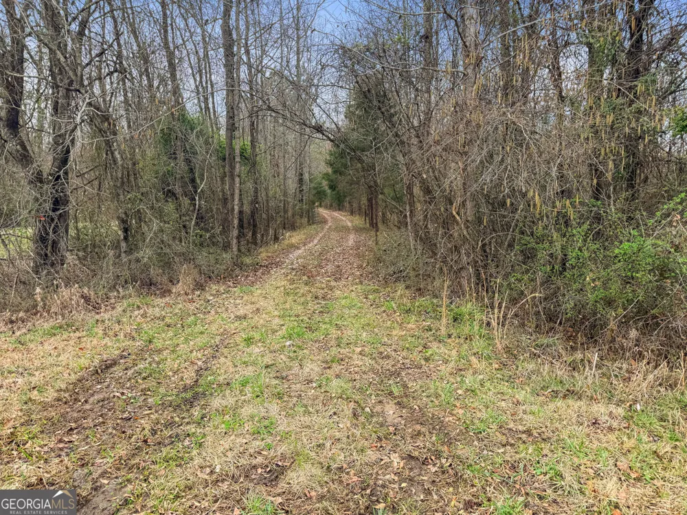 34.61 ACRES Walker RD Meansville, GA 30256