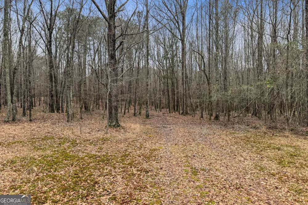 34.61 ACRES Walker RD Meansville, GA 30256