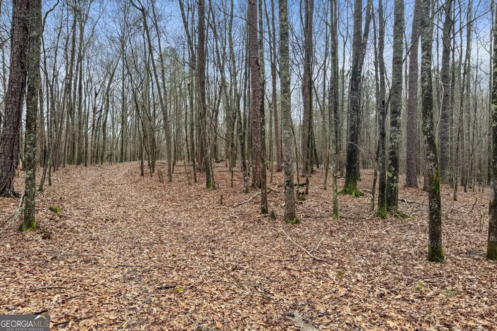 34.61 ACRES Walker RD Meansville, GA 30256