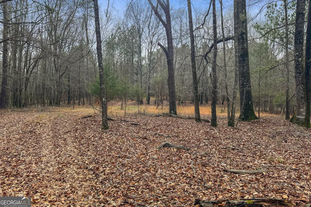 34.61 ACRES Walker RD Meansville, GA 30256
