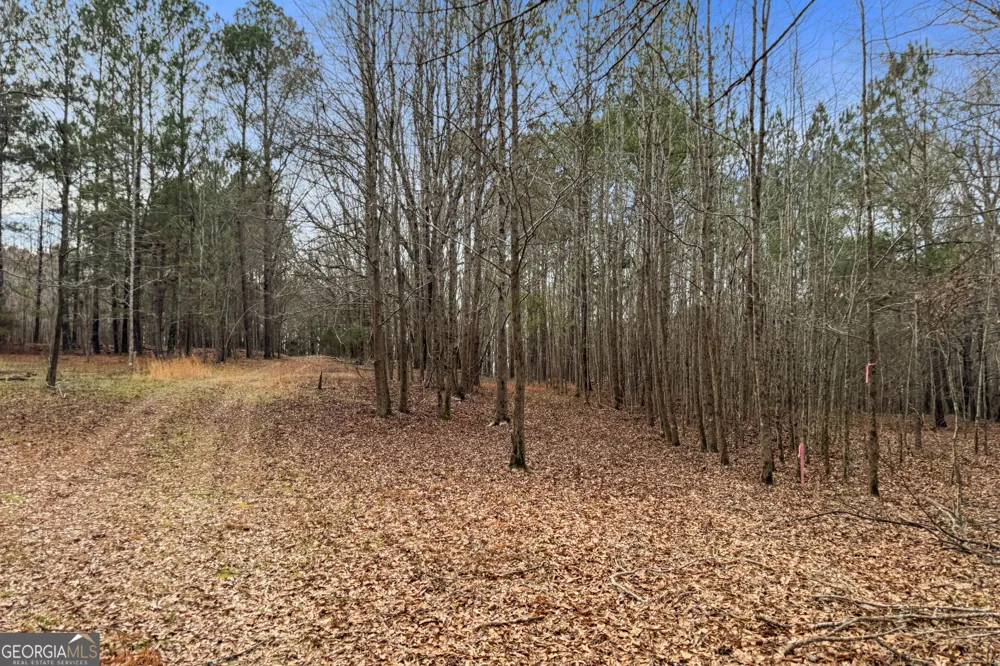 34.61 ACRES Walker RD Meansville, GA 30256