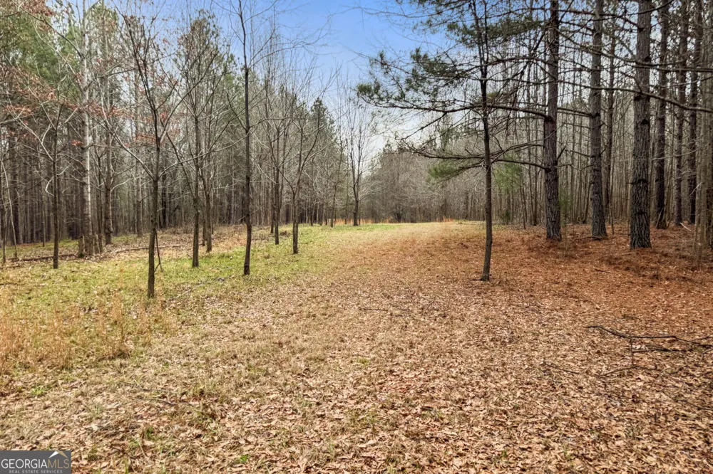 34.61 ACRES Walker RD Meansville, GA 30256