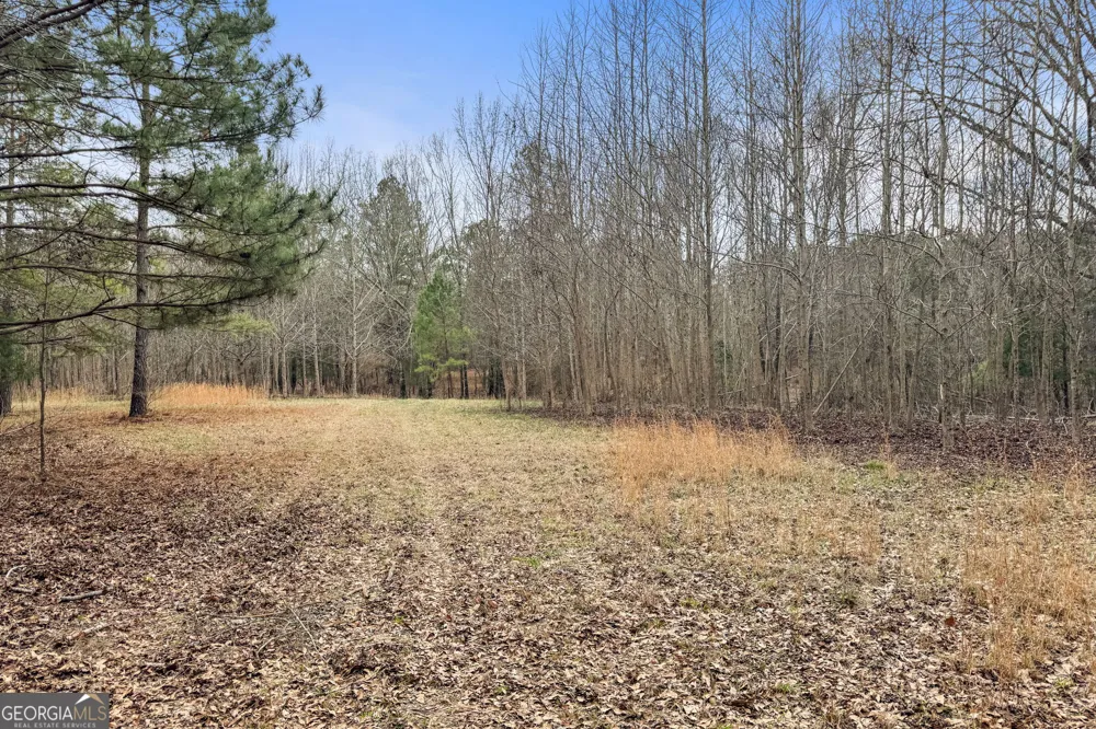 34.61 ACRES Walker RD Meansville, GA 30256