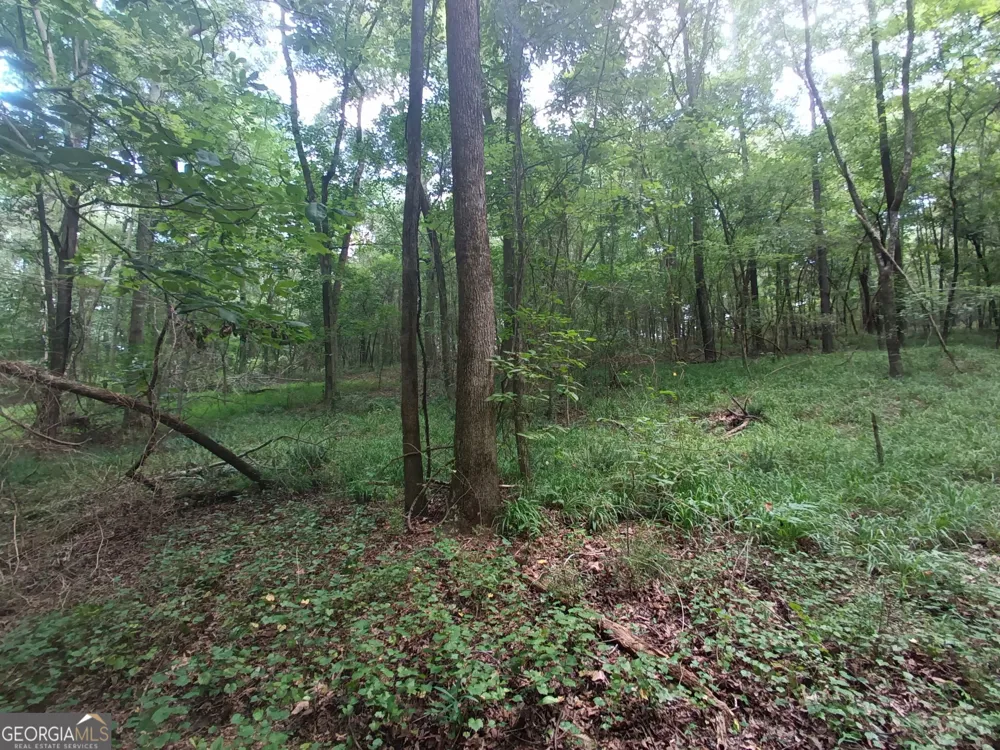 11.78 AC +- Athens Highway Madison, GA 30650