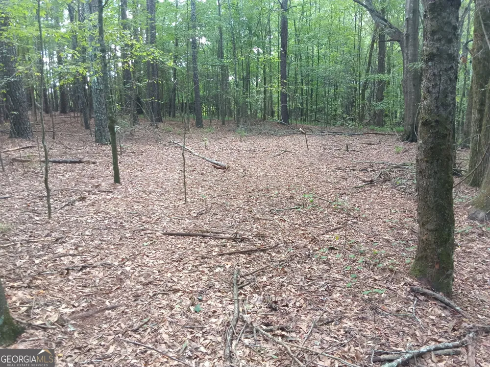 11.78 AC +- Athens Highway Madison, GA 30650