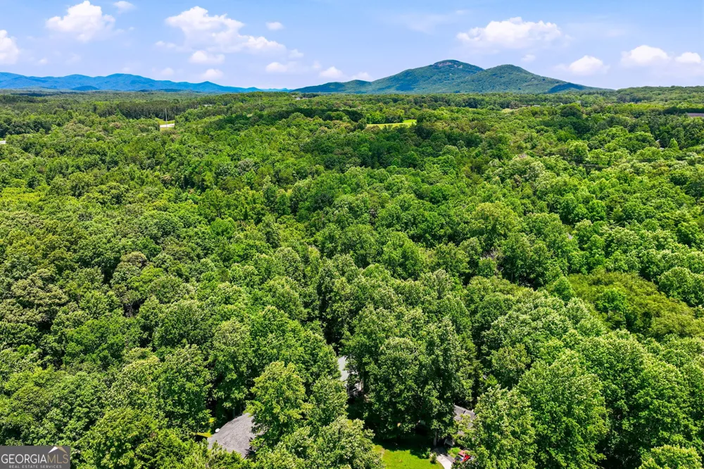 188 Seaborn DR Cleveland, GA 30528