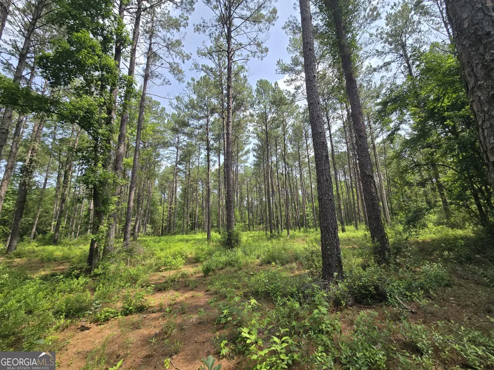 0 Colby DR Dublin, GA 31021
