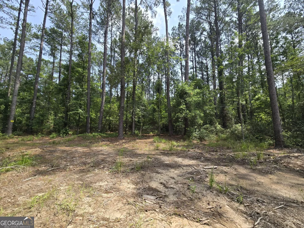 0 Colby DR Dublin, GA 31021