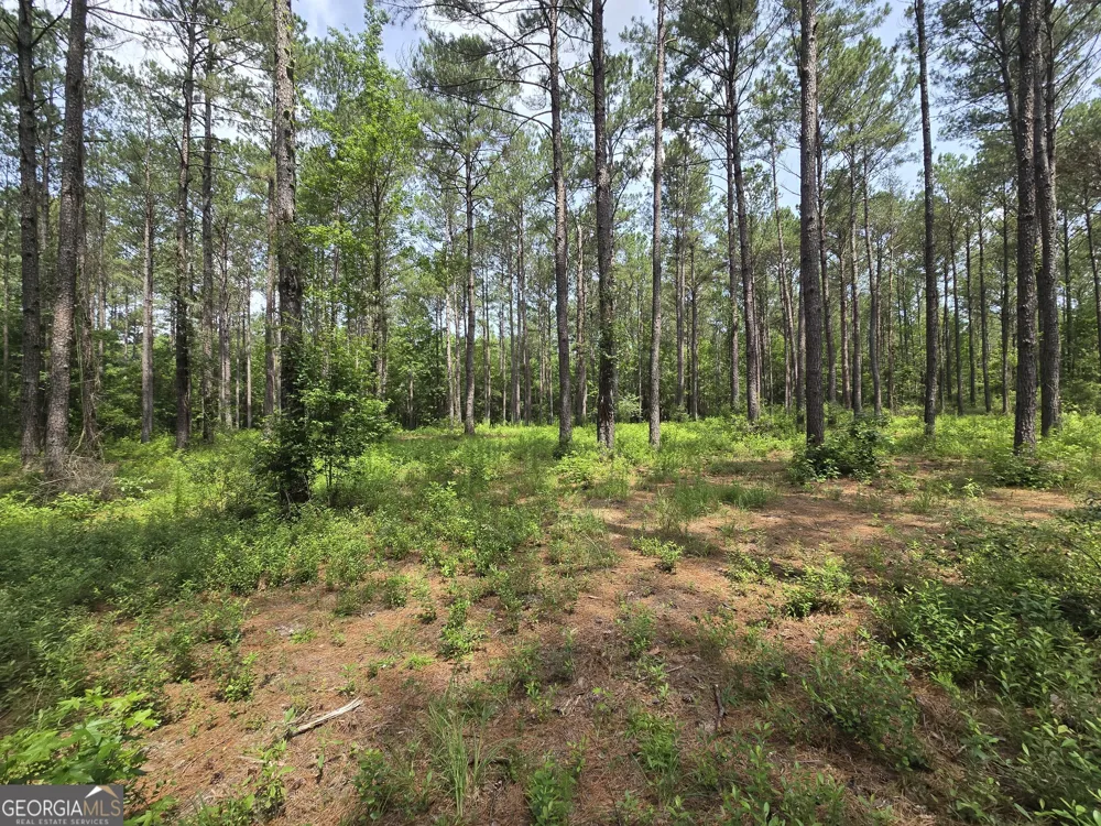 0 Colby DR Dublin, GA 31021