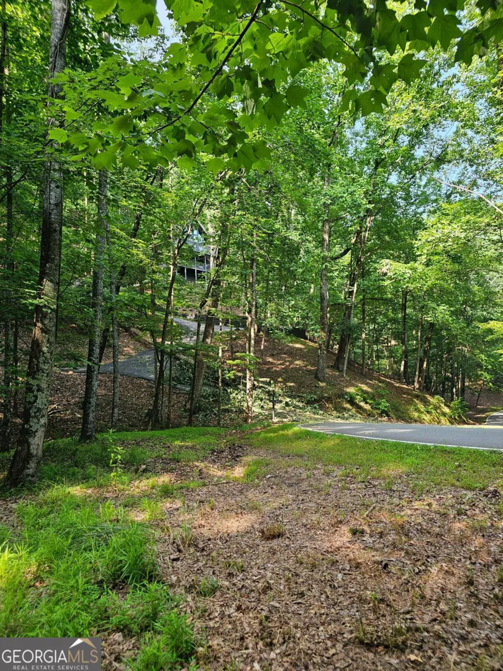 1111 Quail Cove DR Jasper, GA 30143
