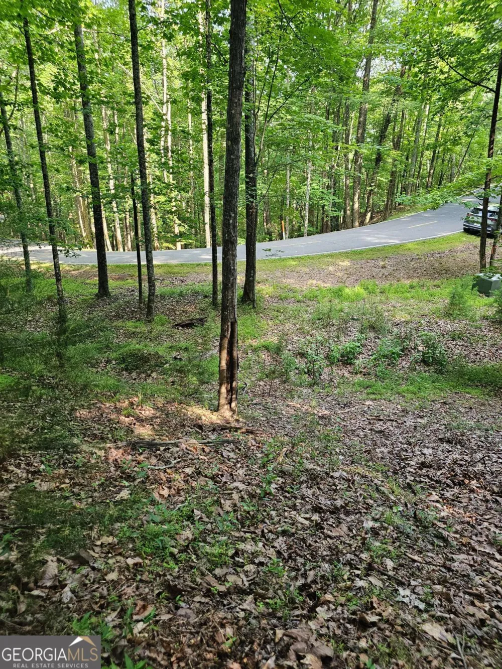 1111 Quail Cove DR Jasper, GA 30143