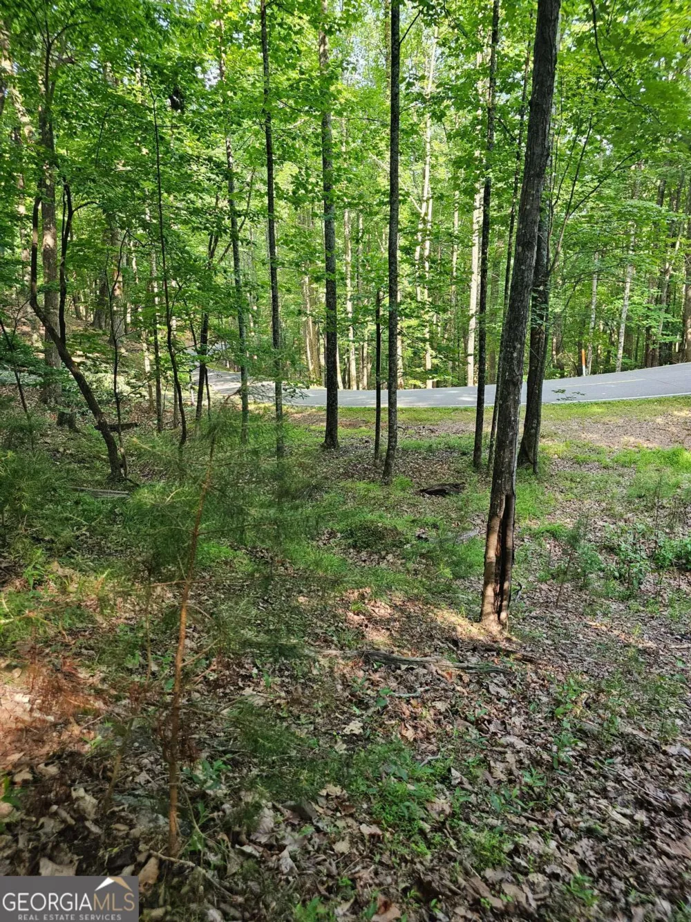 1111 Quail Cove DR Jasper, GA 30143