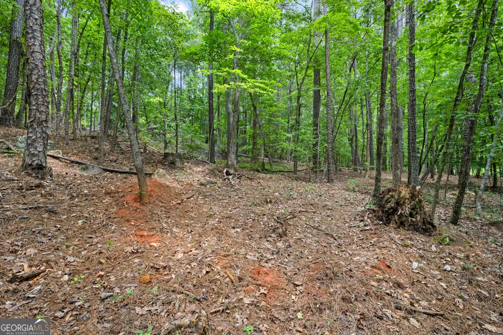 0 Terry RD Fairburn, GA 30213