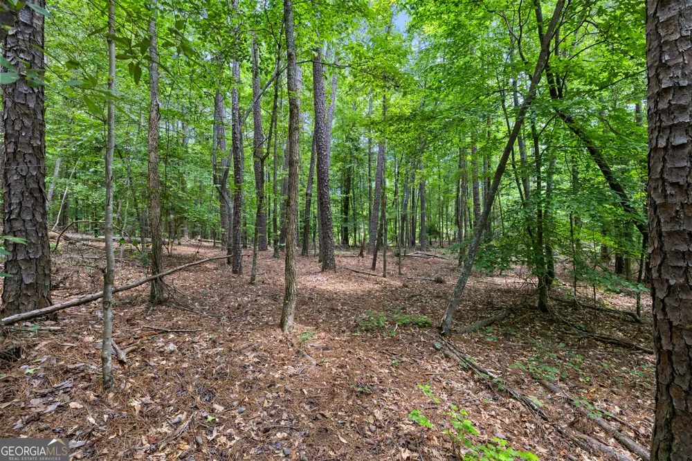 0 Terry RD Fairburn, GA 30213