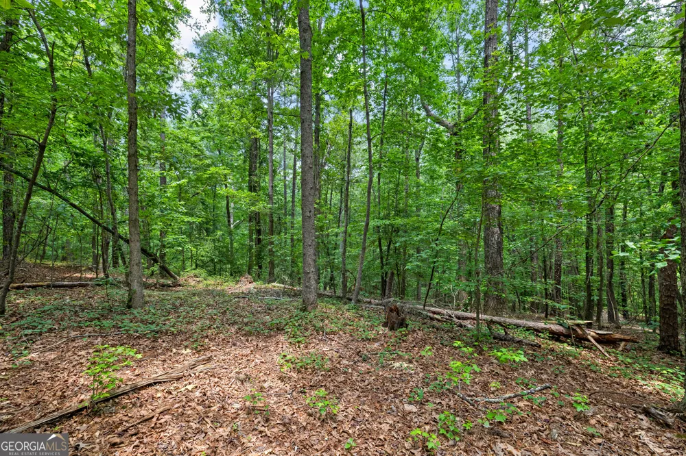 0 Terry RD Fairburn, GA 30213